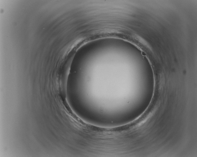 X0000063520777200601271835