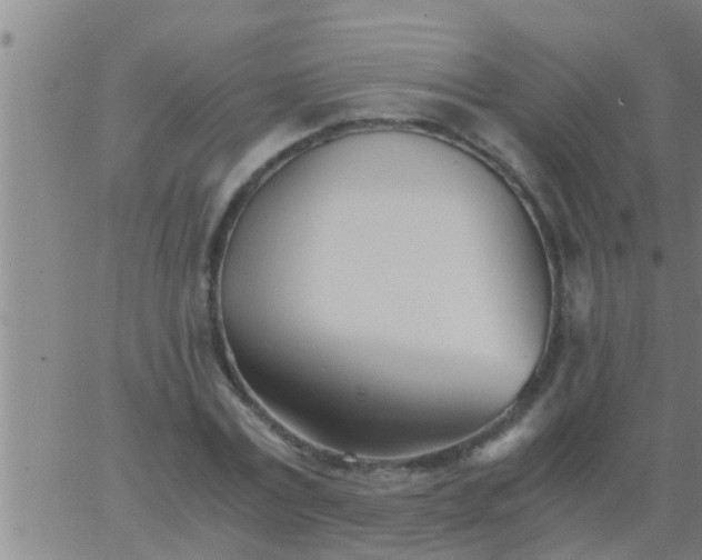 X0000063520779200601271835