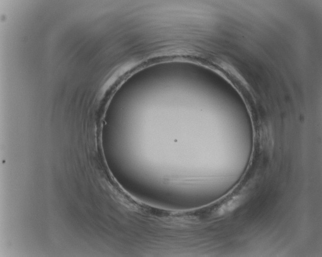 X0000063520781200601271835