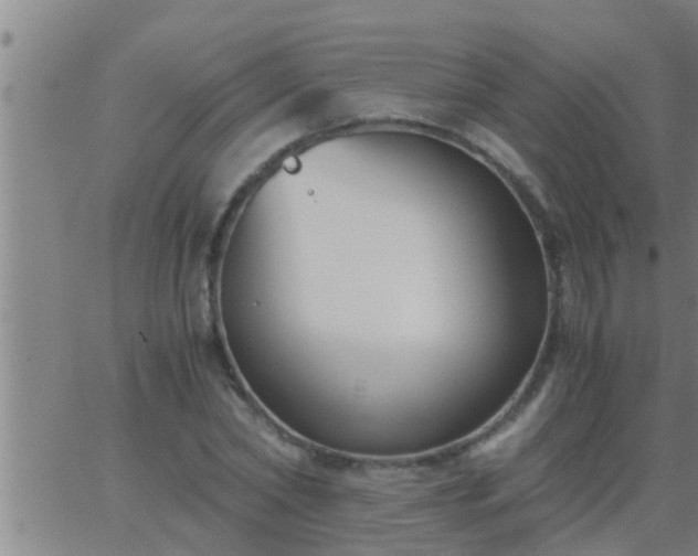 X0000063520782200601271835