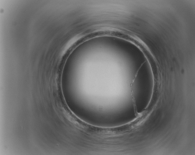 X0000063520783200601271835