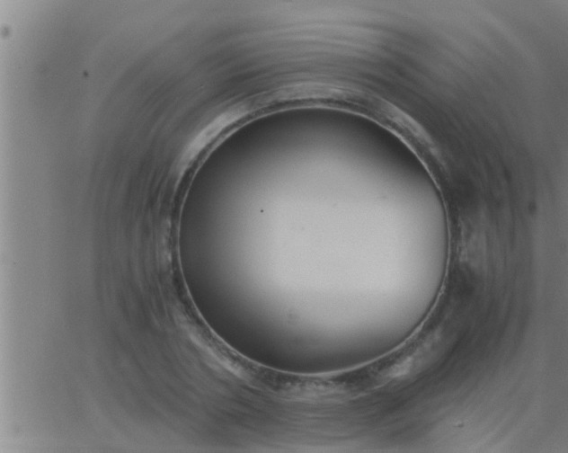 X0000063520786200601271835