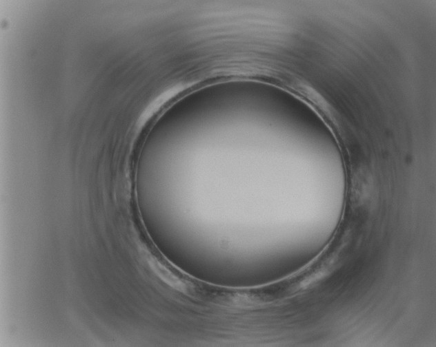 X0000063520787200601271835