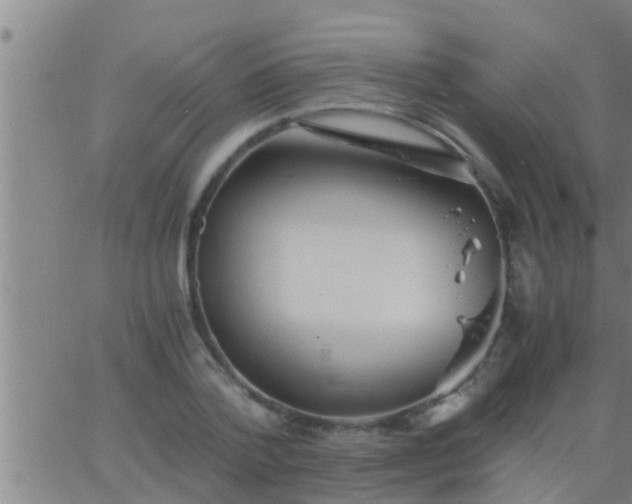 X0000063520788200601271835