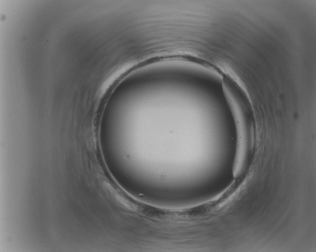 X0000063520789200601271835