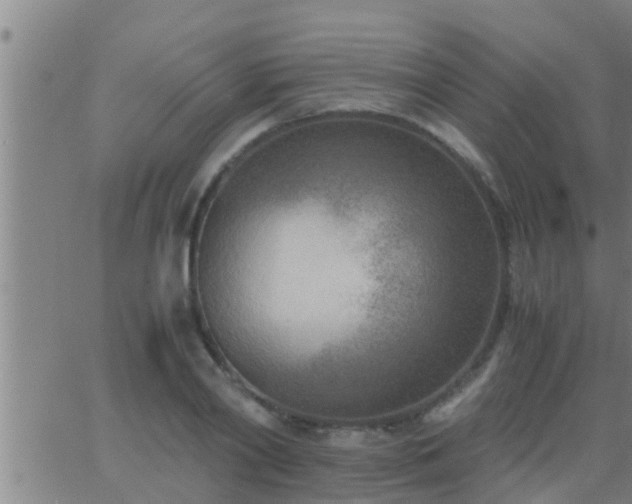 X0000063520790200601271834