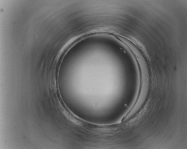 X0000063520792200601271834