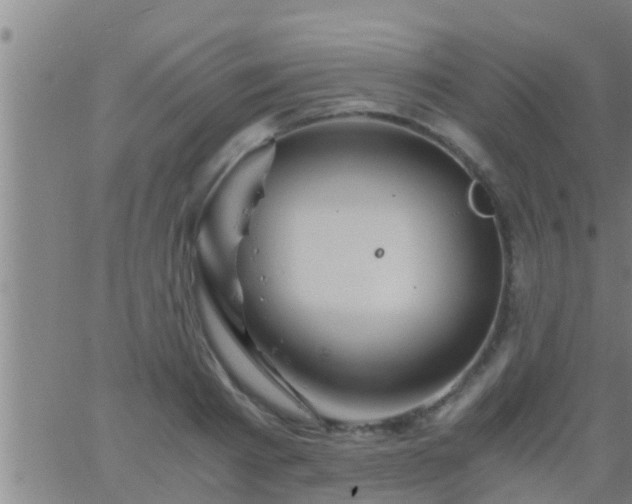 X0000063520793200601271834