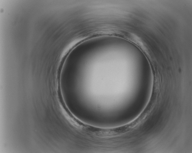 X0000063520795200601271834