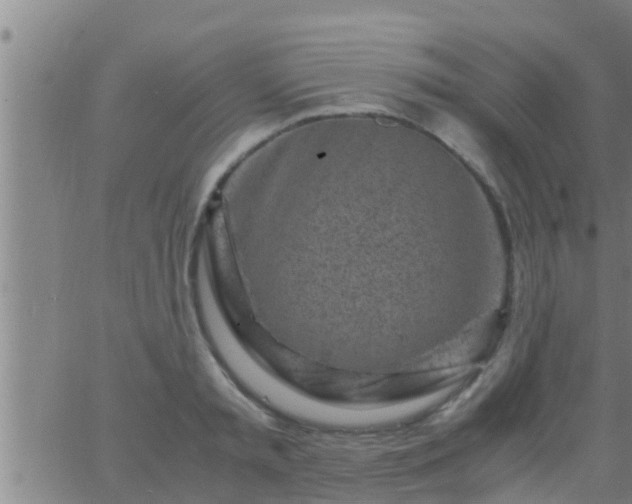 X0000063520797200601271834