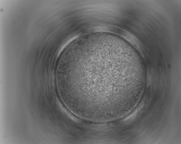 X0000063520798200601271834