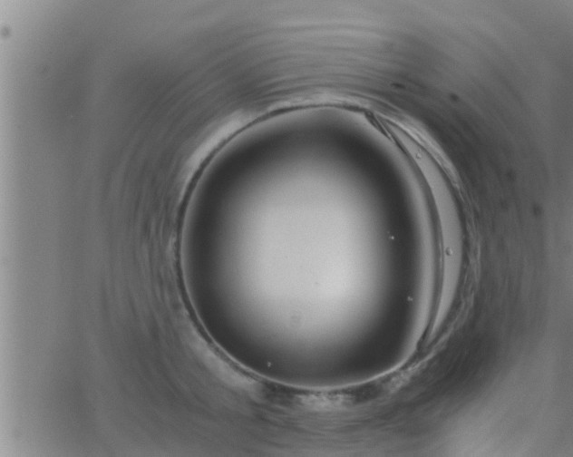 X0000063520805200601271834