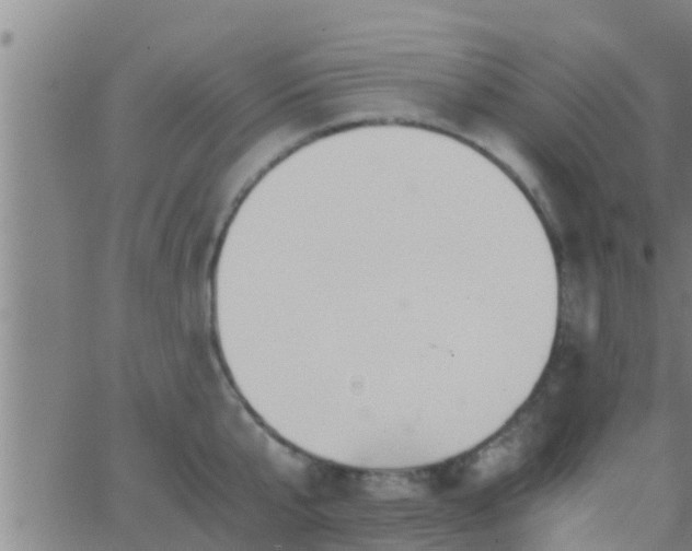 X0000063520807200601271834