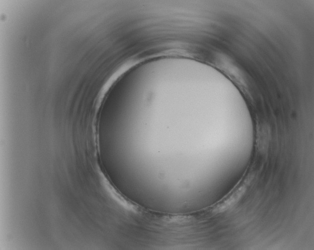 X0000063520808200601271834