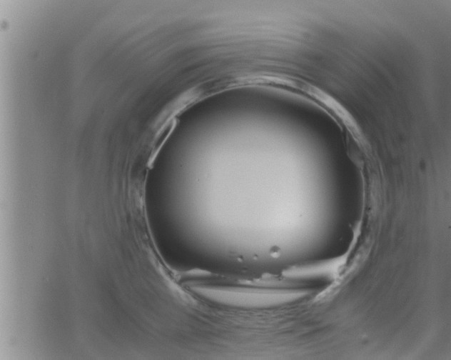 X0000063520809200601271834