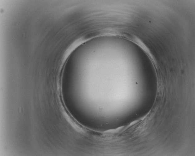 X0000063520811200601271834