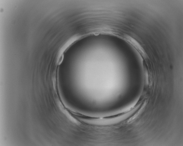 X0000063520812200601271834