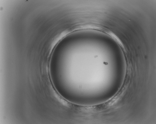 X0000063520813200601271834