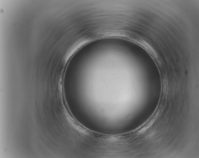 X0000063520814200601271834