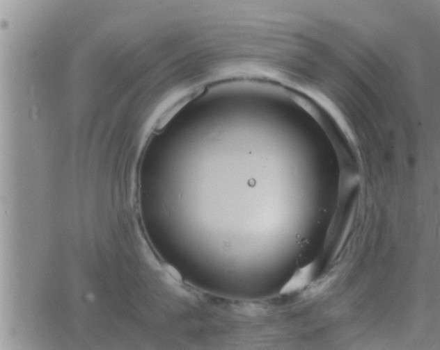 X0000063520815200601271834