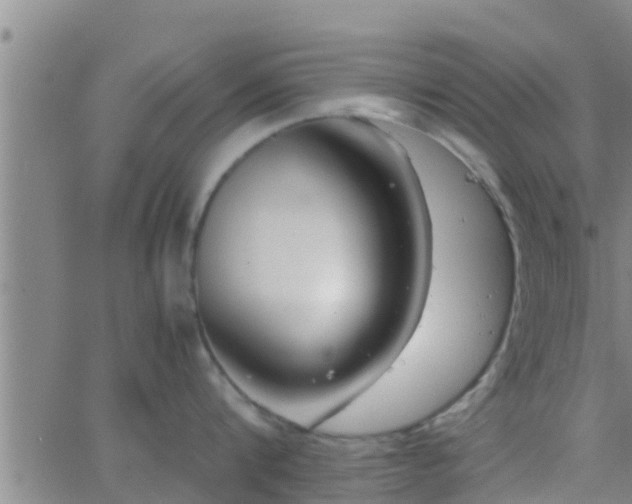 X0000063520816200601271834