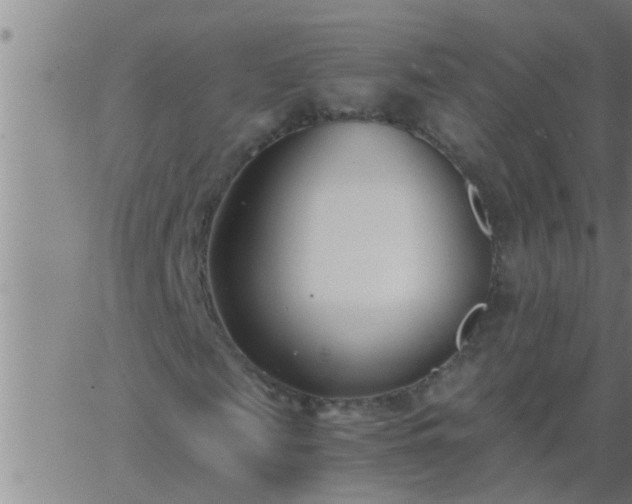 X0000063520817200601271833