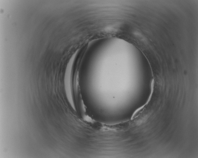 X0000063520818200601271833