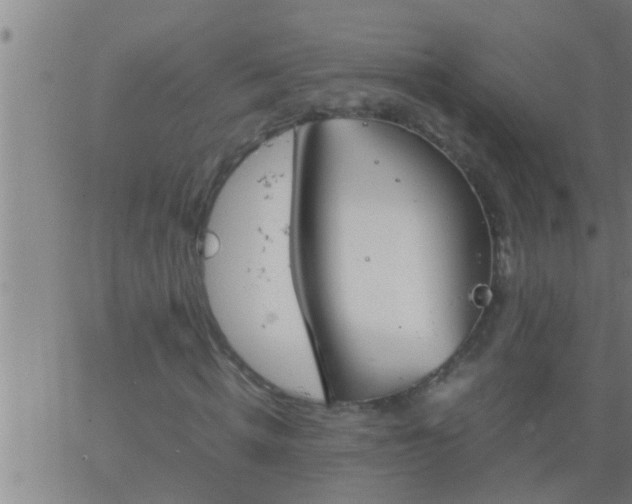 X0000063520820200601271833