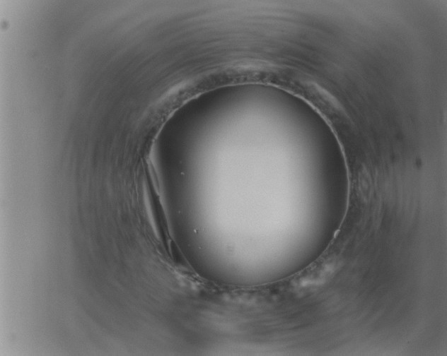 X0000063520821200601271833