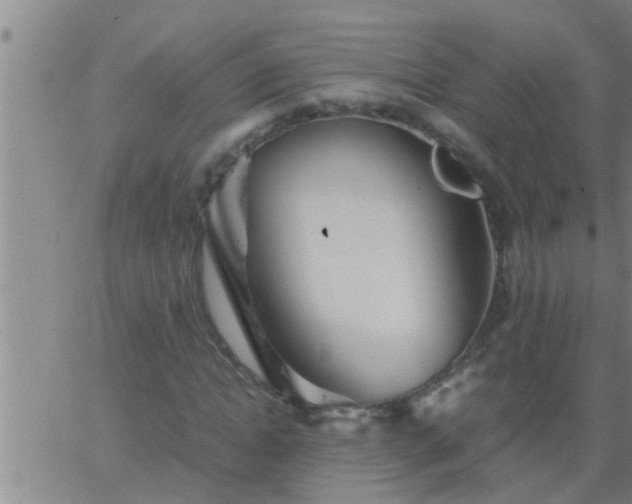 X0000063520822200601271833