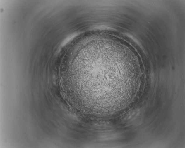 X0000063520823200601271833