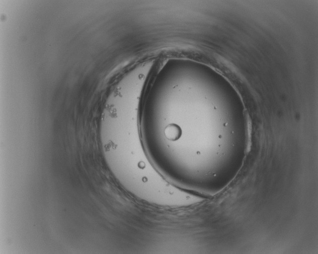 X0000063520824200601271833