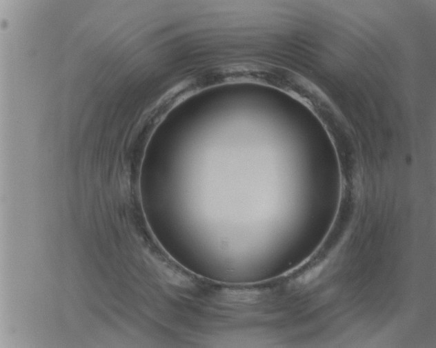 X0000063520825200601271833