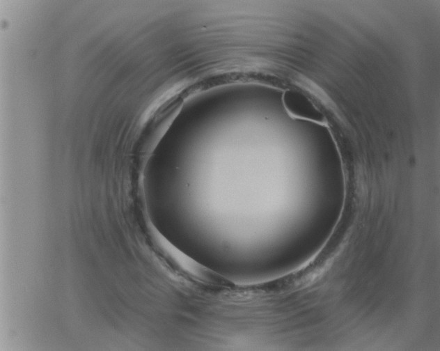 X0000063520826200601271833