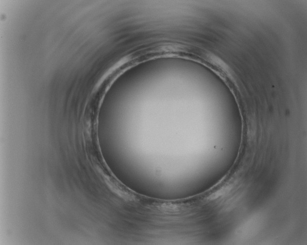 X0000063520827200601271833