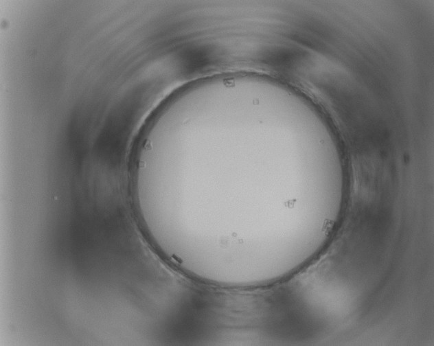 X0000063520828200601271833