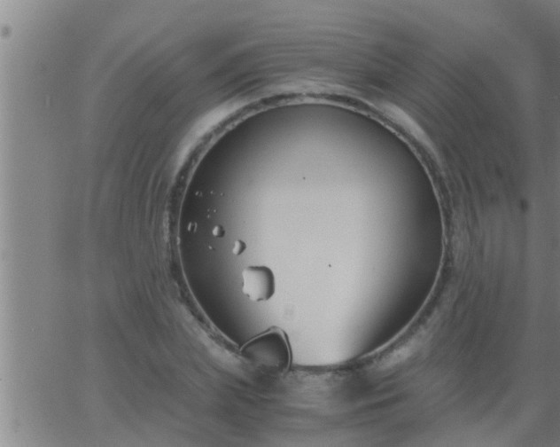 X0000063520831200601271834