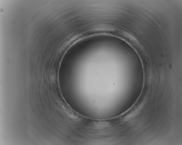 X0000063520833200601271834