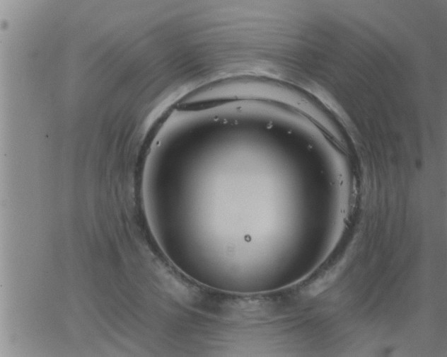 X0000063520834200601271834