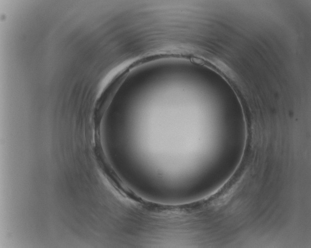 X0000063520838200601271834