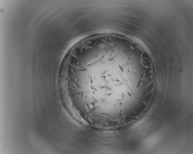 X0000063520839200601271834