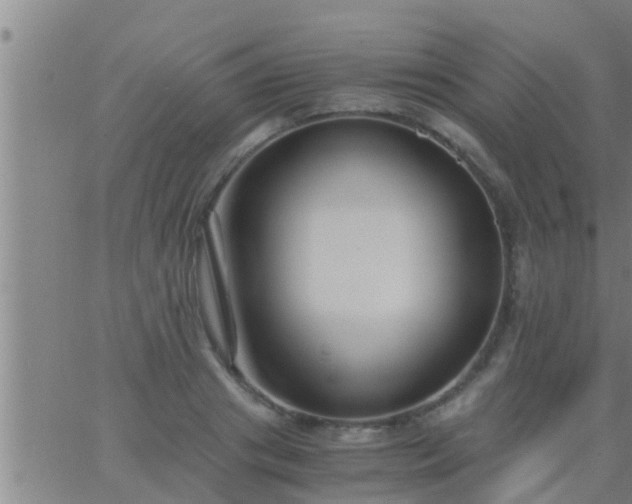 X0000063520841200601271834