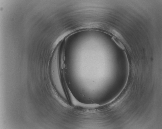 X0000063520842200601271834