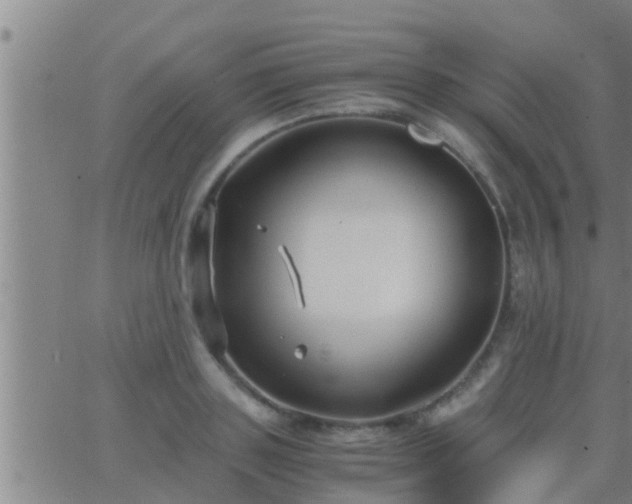 X0000063520843200601271834