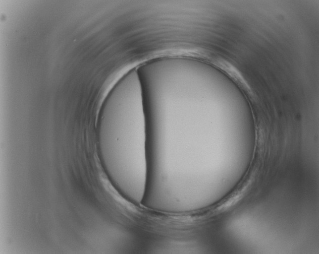 X0000063520844200601271834