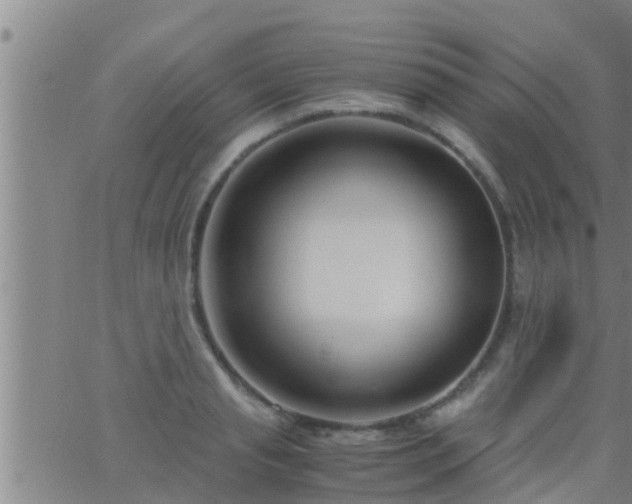 X0000063520845200601271834