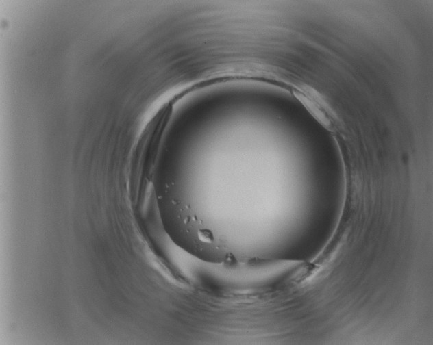 X0000063520846200601271834