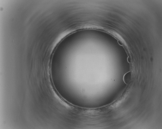 X0000063520847200601271834