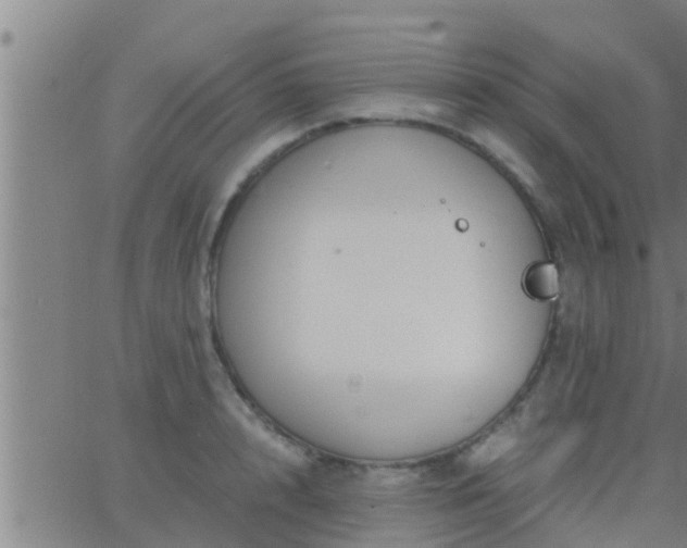 X0000063520848200601271834