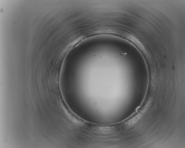 X0000063520849200601271834